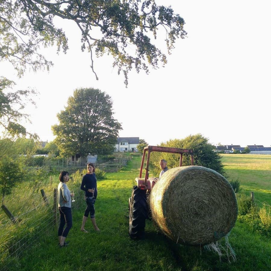 Bastle Retreats Farm Cottage Duns Bagian luar foto